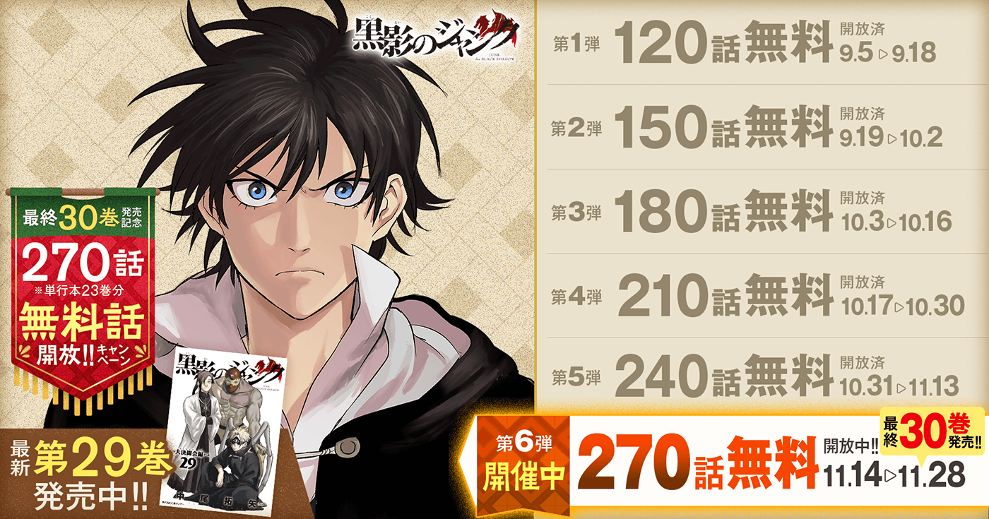 黒影のジャンク